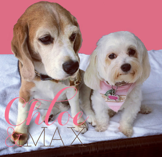 Chloe & Max Gift Card